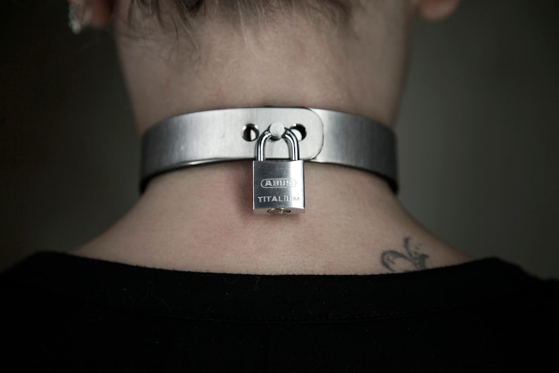 May include: A silver metal collar with a silver padlock. The padlock has the text "ABUS TITANIUM" on it.
