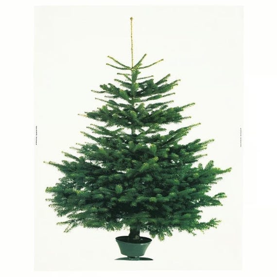 IKEA 2011 Lotta Feldt Giant Pine Holiday Tree Printed Fabric Panel