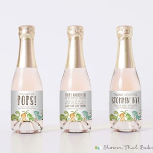 PRINTED Dinosaur Mini Champagne Labels with Custom Wording - Cute Dino Themed Baby Shower Favor Labels - T-Rex, Triceratops Dino 0077