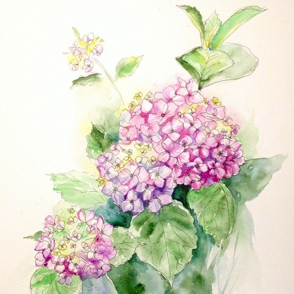 Pink Hydrangeas original watercolor painting, wall art flowers, living room decor, gift for mother, romantic, bohemian, country style