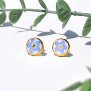 May include: A pair of gold-rimmed stud earrings with a blue forget-me-not flower pressed inside each earring.