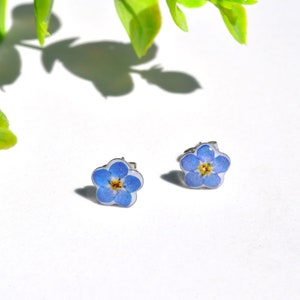 Forget Me Not Studs, Real Flower Studs, Flower Earrings, Pressed Flower Studs, Real Flower Earrings, Tiny Flower Earrings, Botanical Studs