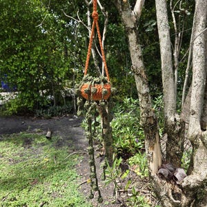 Crochet String of Pearls Plant: Handmade Succulent in Pot Mother's Day