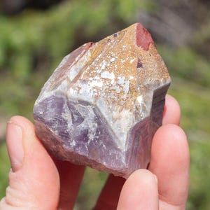May include: A hand holds a raw amethyst crystal. The crystal has a mix of purple, tan, and reddish-brown colors. The crystal's surface has a rough, textured appearance. The background is blurred, with green foliage and trees.