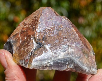 Auralite-23 Crystal (Canadian Chevron Amethyst)  : 234 Beautiful *RARE* Druzy Shimmering on Red Elestial Termination Point