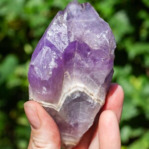 May include: A hand holds a raw amethyst crystal against a blurred green background. The crystal is a deep purple color with white and gray bands. The rough, natural edges of the stone are visible.