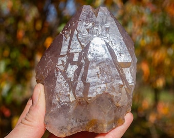 Auralite-23 Crystal (Canadian Chevron Amethyst)  : 600 gram Clear Smoky Golden Pink Cap Elestial Multiple Termination Cap