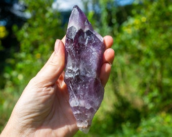 Cristal Auralite-23 (amatista canadiense Chevron): varita de palma grande de 8,4 oz con preciosos tonos de amatista ahumados y magníficas capas de Chevron.
