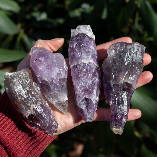 Auralite-23 Crystals (Canadian Chevron Amethyst): SINGLE Palm Wand - Intuitively Chosen for YOU