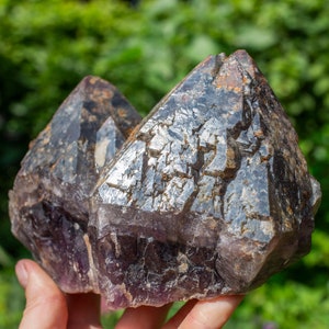 Auralite-23 Crystal (Canadian Chevron Amethyst)  : 1.4 KILO RARE Earth Spirit Elestial Multi Terminated Cluster