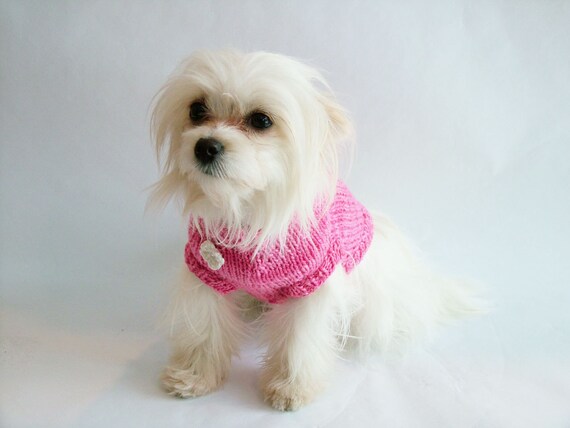 pretty dog sweaters