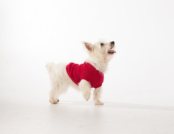 red wings dog jersey