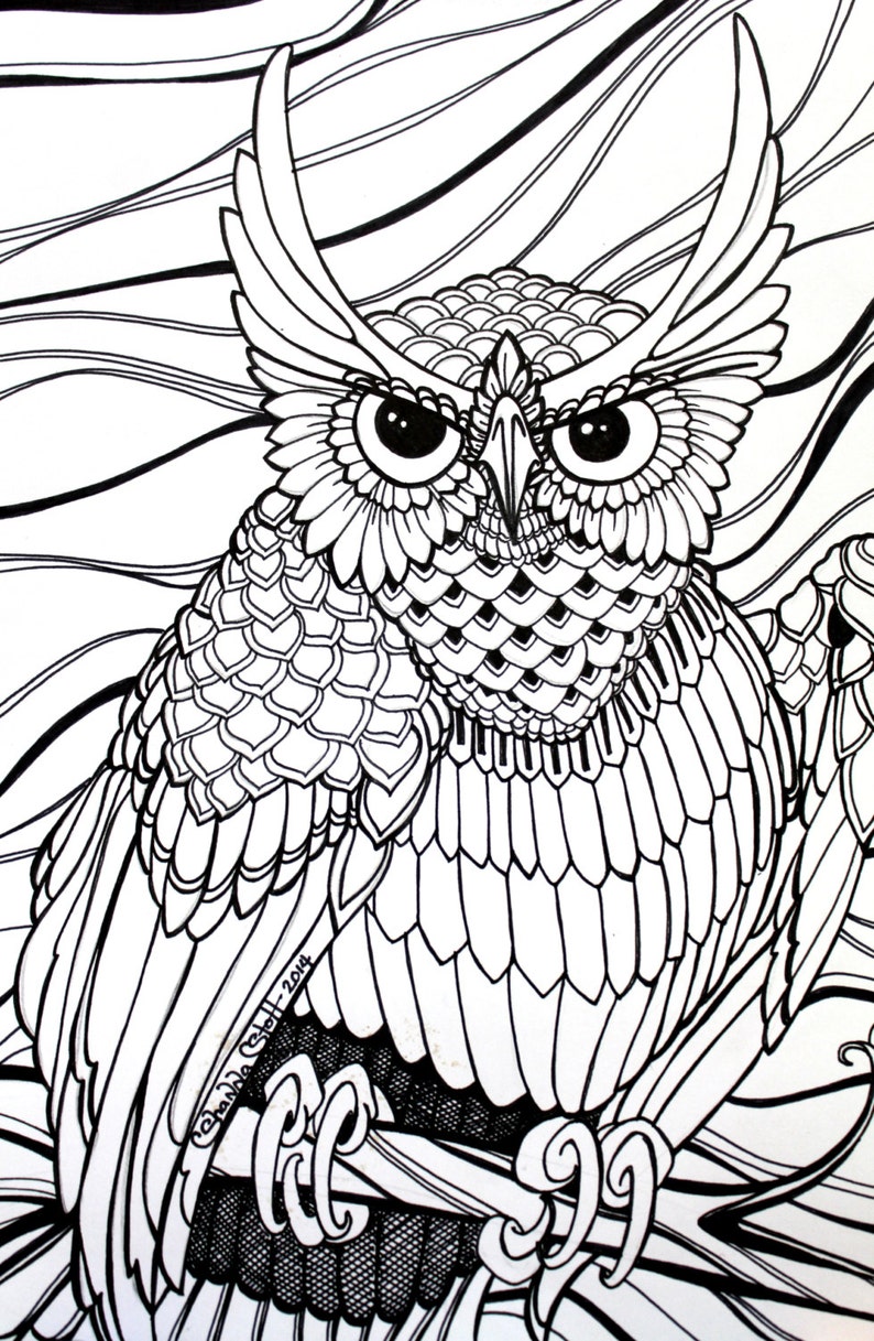 Download 3 PAGES Owl Download coloring pages Neo Traditional Tattoo | Etsy