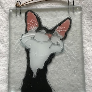 May include: A square fused glass wall hanging featuring a stylized black and white cat illustration with pink inner ears. The cat has a white face and chest with a black body, outlined in black. A brown twine cord is attached to two metal loops.