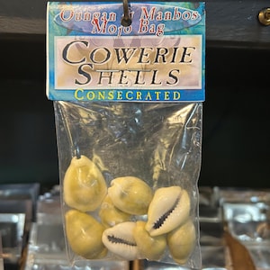 Cowrie Shells, odu, merindinlogun, feminine energy, divination, sea shells, ancestor communication, Orishas, Yoruba, Ifa, bone reading