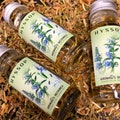 Hyssop Oil - hoodoo oil - conjure oil - witchcraft - pagan - curse removing hyssop