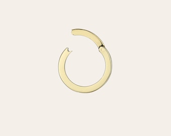 May include: A gold hoop earring with a hinged closure.