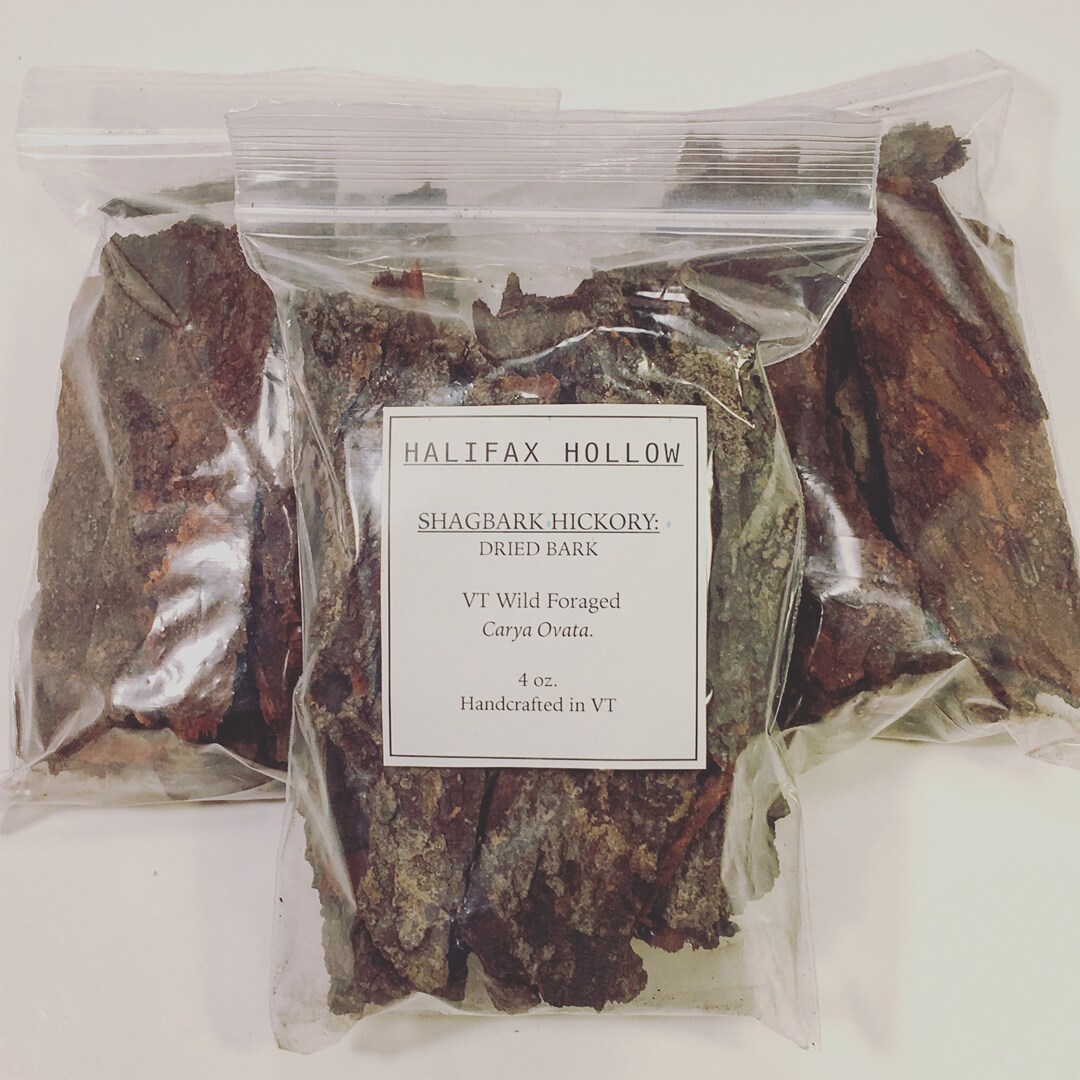Shagbark Hickory Bark Loose Leaf Tea Dried Herbs Syrup Making VT Wild