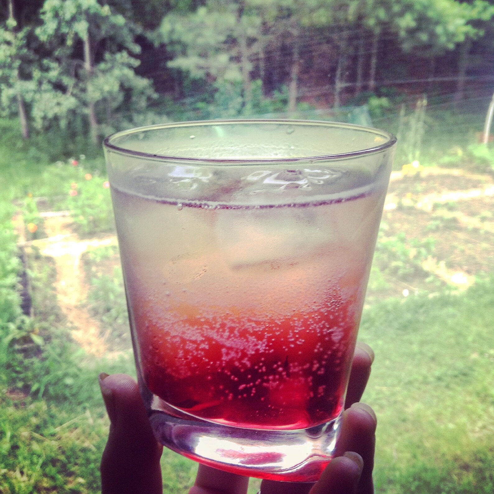 Simple Syrups 3 Flavor Sampler Set CHOOSE YOUR FLAVORS Etsy