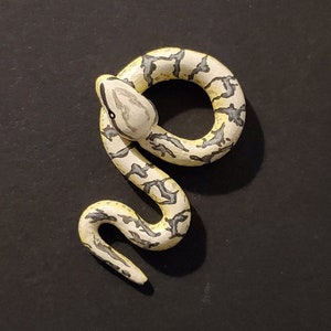 Snake Necklace - Bumblebee (Pastel Spider) Ball Python