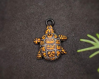 Schildpadketting - Oostelijke doosschildpad