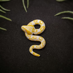 Snake Necklace - Albino Ball Python