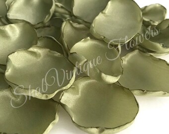 25g packs ready to spin or felt. all plant dyed light sage khaki olive green Spring Fern dyed Shetland roving