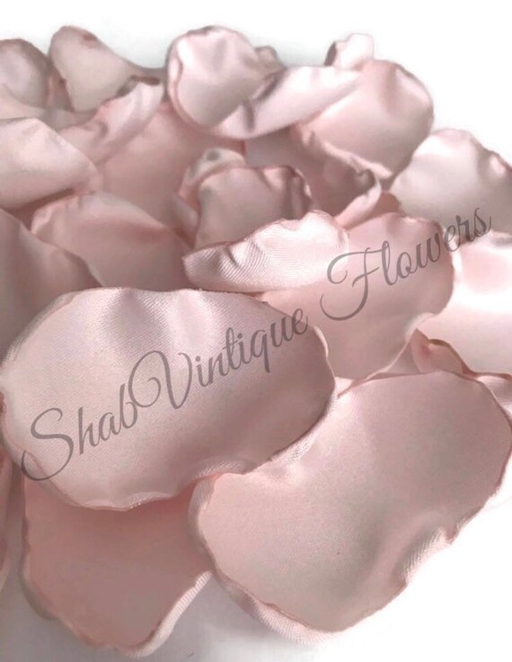 Pale Blush Pink Flower Petals Blush Rose Petals Blush Table Etsy