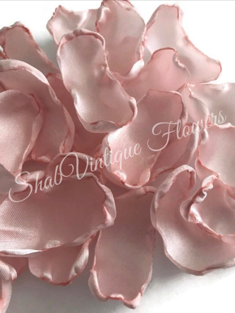 Rose Blush Flower Petals Blush Rose Petals Blush Table Etsy