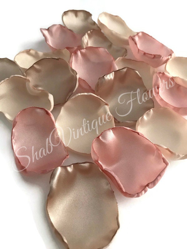 400Pcs Silk Rose Petals for Wedding Decorations Blush Pink Flower Petals for Centerpieces Reception Tables Rustic Decor Flower Girl Scatter for Aisle Runner,Bridal Shower 400Pcs Silk Rose Petals for Wedding Decorations Blush Pink Flower Petals for Centerpieces Reception Tables Rustic Decor Flower Girl Scatter for Aisle Runner,Bridal Shower