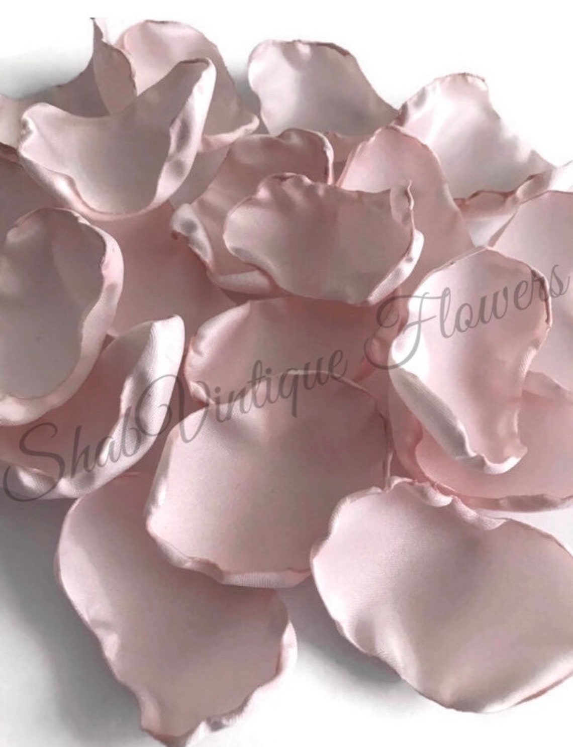Pale blush pink 2000 flower petals blush rose petals blush Etsy