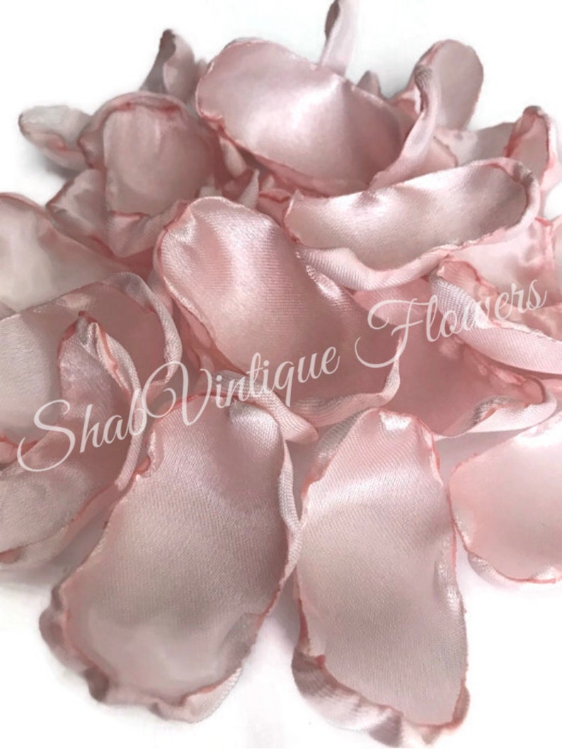 Rose Blush Flower Petals Blush Rose Petals Blush Table Etsy