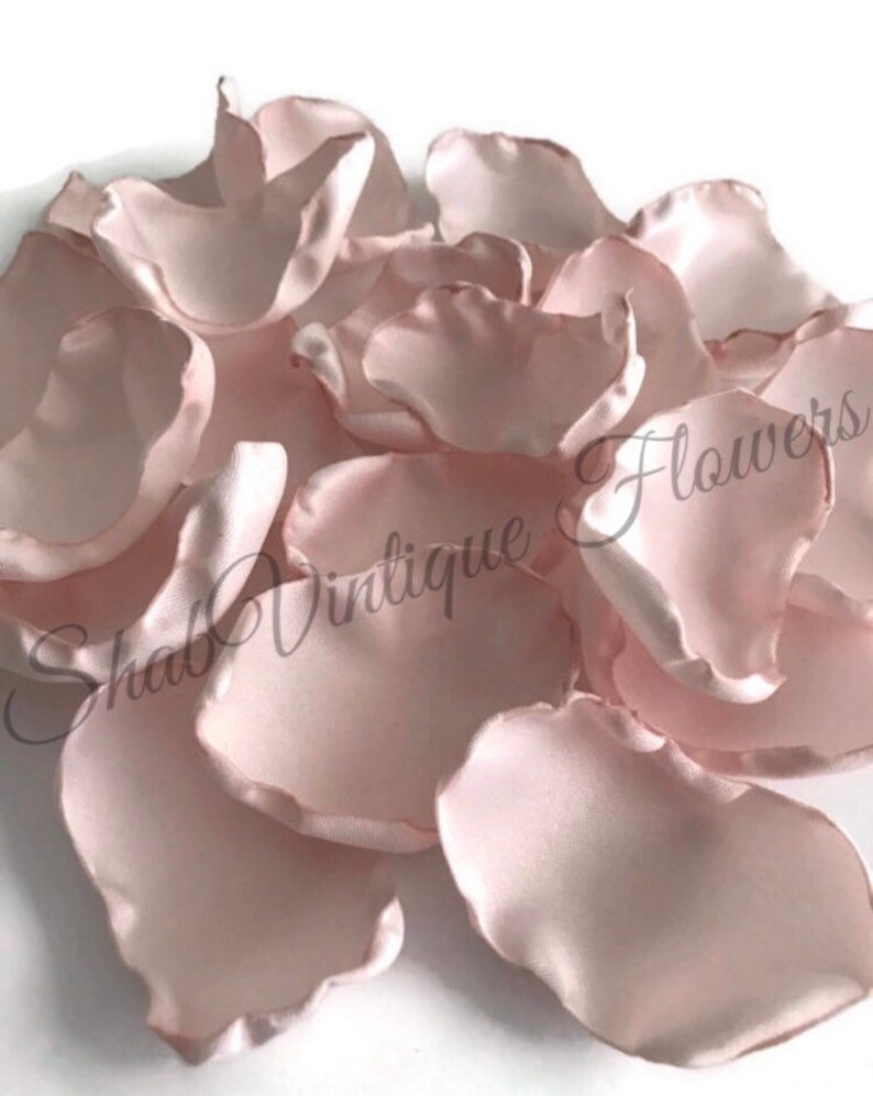 Pale Blush Pink 2000 Flower Petals Blush Rose Petals Blush Etsy