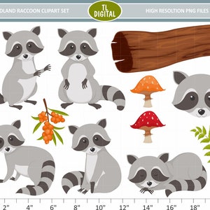 Woodland wasbeer clipartset - dierlijke clipart - Woodland clipart - png-bestanden met hoge resolutie - 11 clipartillustraties