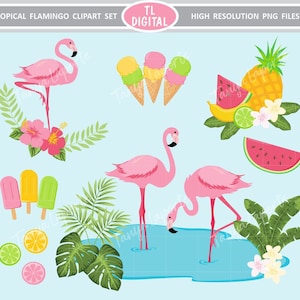 Flamingo Clipart Set - Tropical Clipart - Tutti Frutti Clipart - 30 illustraties