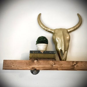 Plant Ledge - Farmhouse Industrial Solid Wood Plank and Iron Pipe Bracket Simple Floating Wall Mounted w/ Lip - Whitewash