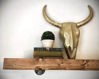Plant Ledge - Farmhouse Industrial Solid Wood Plank and Iron Pipe Bracket Simple Floating Wall Mounted w/ Lip - Whitewash