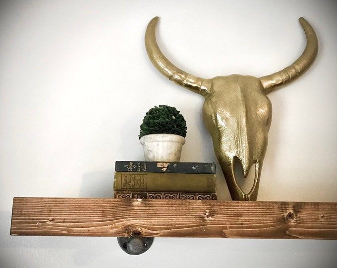 Plant Ledge - Farmhouse Industrial Solid Wood Plank and Iron Pipe Bracket Simple Floating Wall Mounted w/ Lip - Whitewash