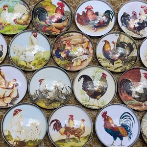 ROOSTERS and CHICKENS Magnet Set | Rooster Decor | Chicken Decor | Farmhouse | Housewarming Gift | Party Favor | Stocking Stuffer |