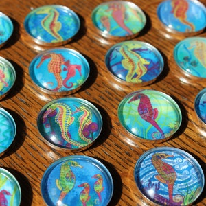 SEAHORSE Colorful Seahorse Refrigerator Magnet | File Cabinet Magnet | Housewarming Gift | Party Favor | Sea Dragon | Sea Horse | Ocean