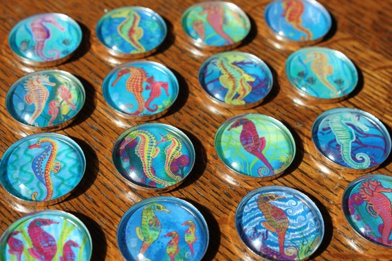 Seahorse Colorful Seahorse Refrigerator Magnet File Cabinet Etsy