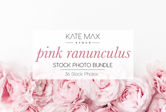 Pink Ranunculus Stock Photo Bundle Styled Stock Photos Pink Ranunculus Stock Photo Bundle Styled Stock Photos