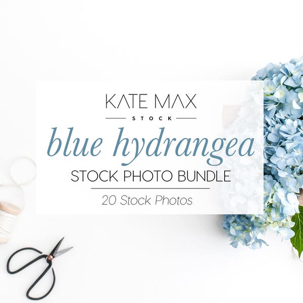Blue Hydrangea Stock Photo Bundle / Styled Stock Photos / 20 KateMaxStock Flower Branding Images for Your Business