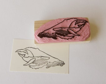 Ref. 26.  Humpback whale