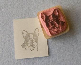 Ref. 78.  French bulldog portrait