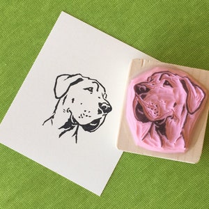 REF. 117 portret van Duitse Mastiff / great dane honden portret