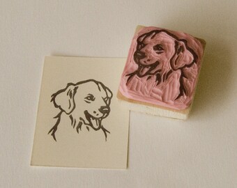Ref. 07.  Golden retriever  / Golden Retriever