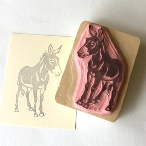 Ref. 110 Catalan donkey / âne catalan