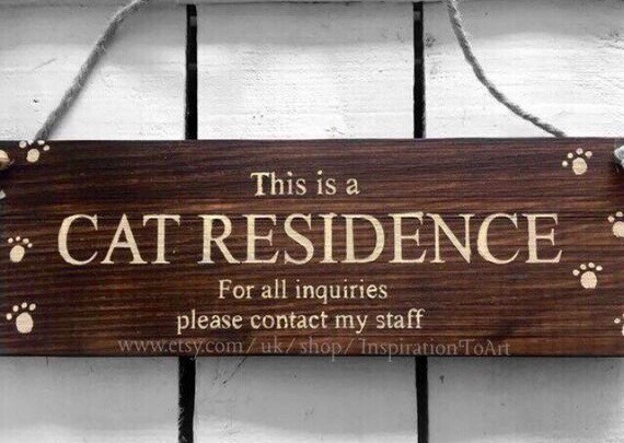 Cat Lovers Gift Funny Cat Sign Funny Door Sign Gift For Cat Etsy