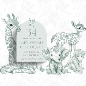 Clipart BABY Safari Animals Toile. Clipart Sage Green Watercolor African / Jungle. PNG per uso commerciale. Grafica cineserie.